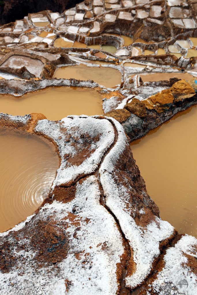 Since pre-Inca times, salt has been obtained in Maras by evaporating salty water from a local subterranean stream.