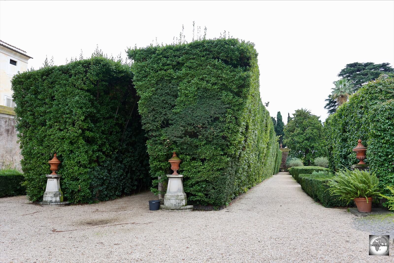 A view of the front end of the Cypress-hedge tunnel.