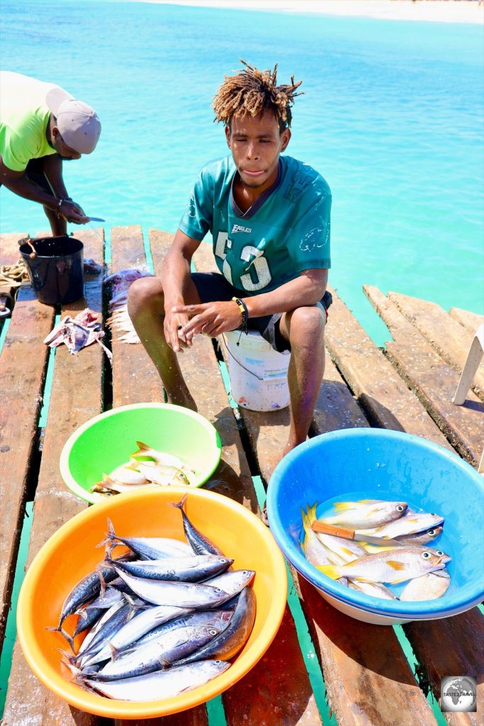 Each morning on Sal, fisherman sell their catch on the main pier in Santa Maria.