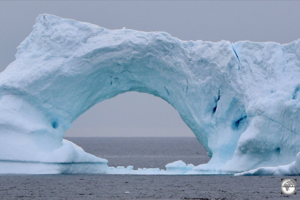 The Sarfaq Ittuk allows you to get up close to many towering icebergs.