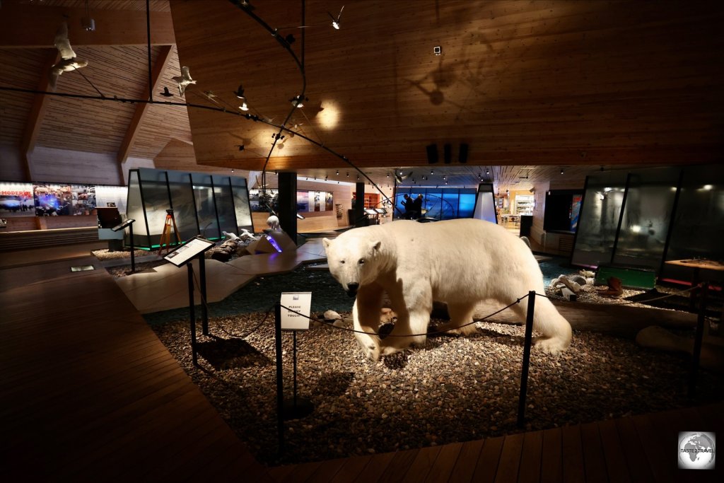 The engaging Svalbard museum displays artefacts from the history of Svalbard since its settlement along with fauna and flora displays.