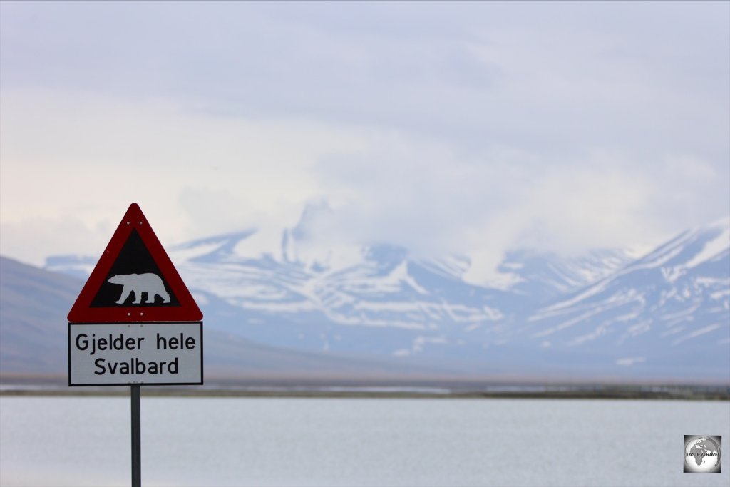 The famous polar bear warning sign outside of Longyearbyen. This marks the town limit and isn't to be passed unless you are carrying a loaded rifle for protection.