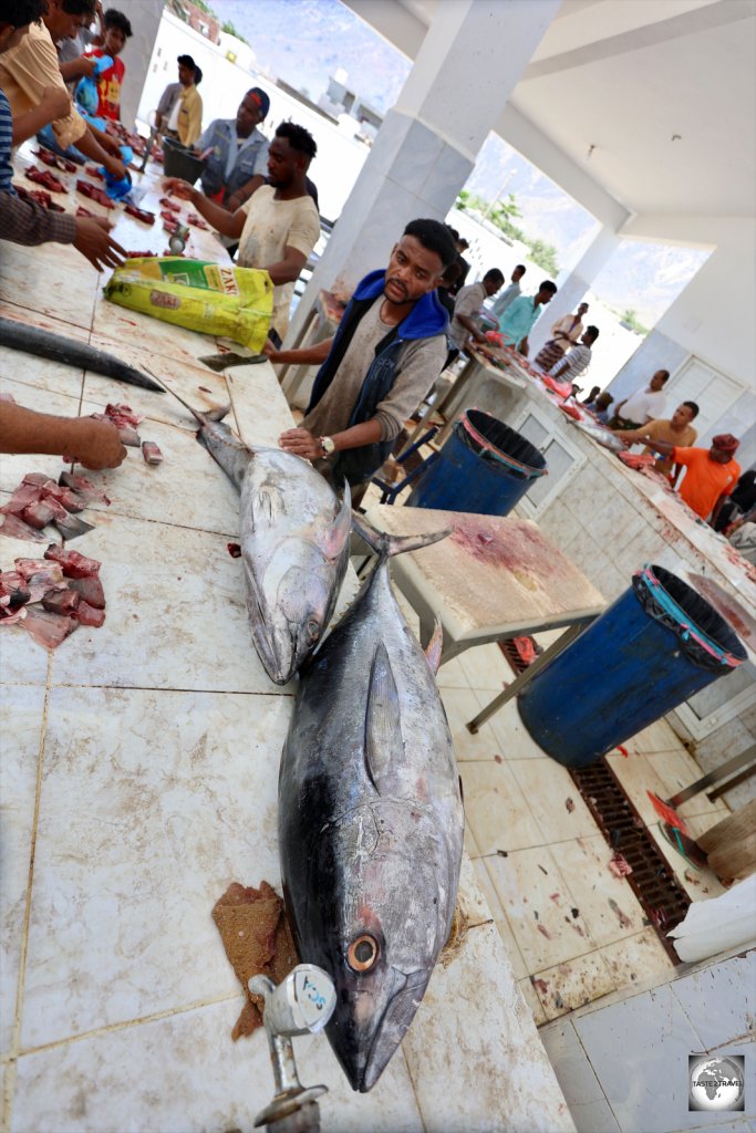 Fresh tuna for sale at the Central fish market in Hadiboh.
