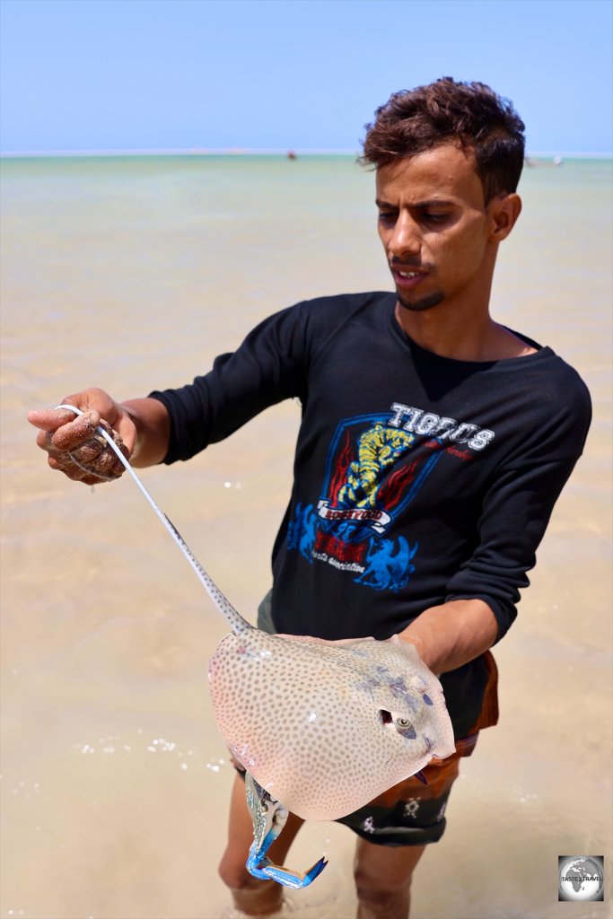 A fisherman at Detwah Lagoon showing me a baby stingray which inhabits the lagoon.