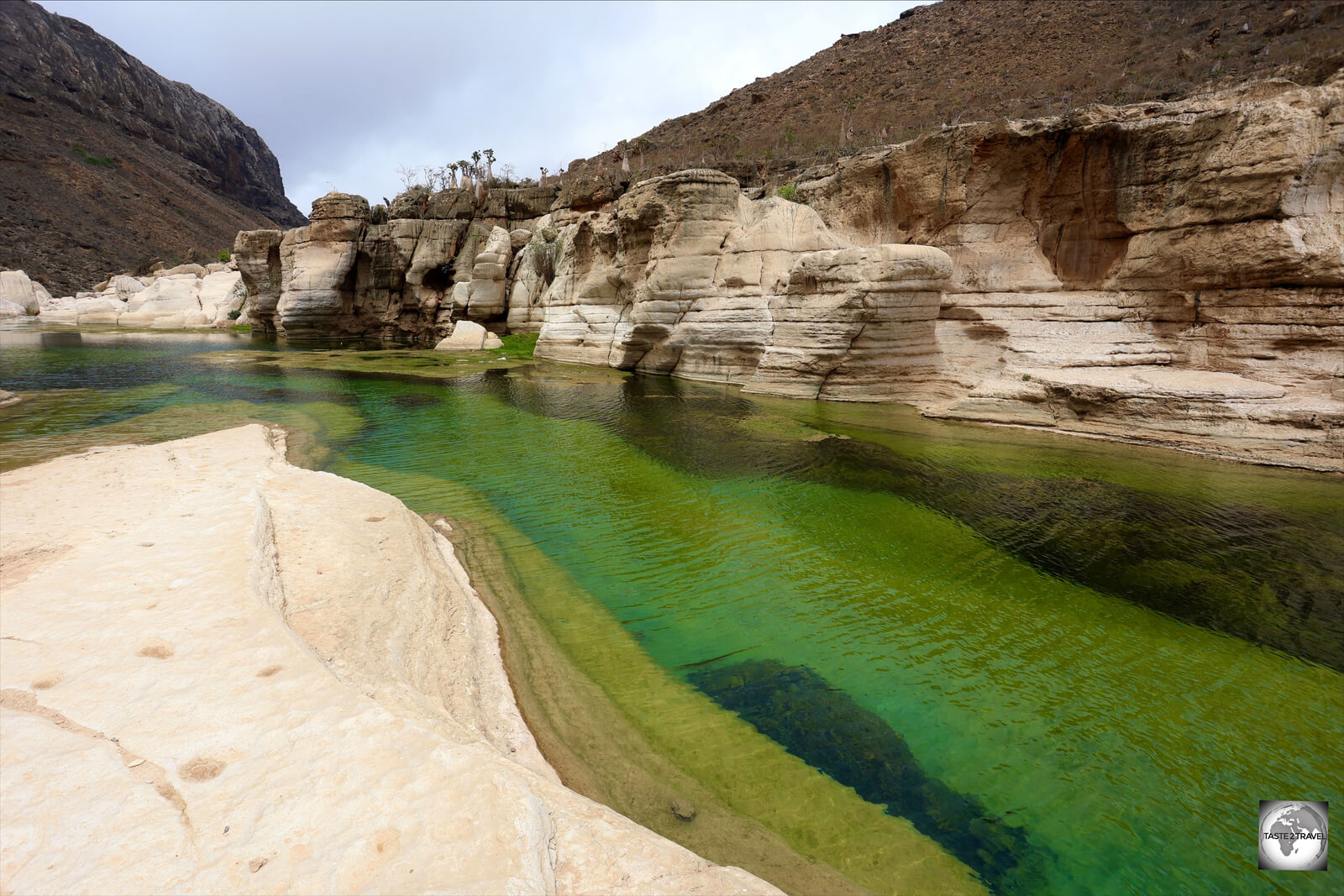 A swimming pool to myself at beautiful Wadi Kalysan.