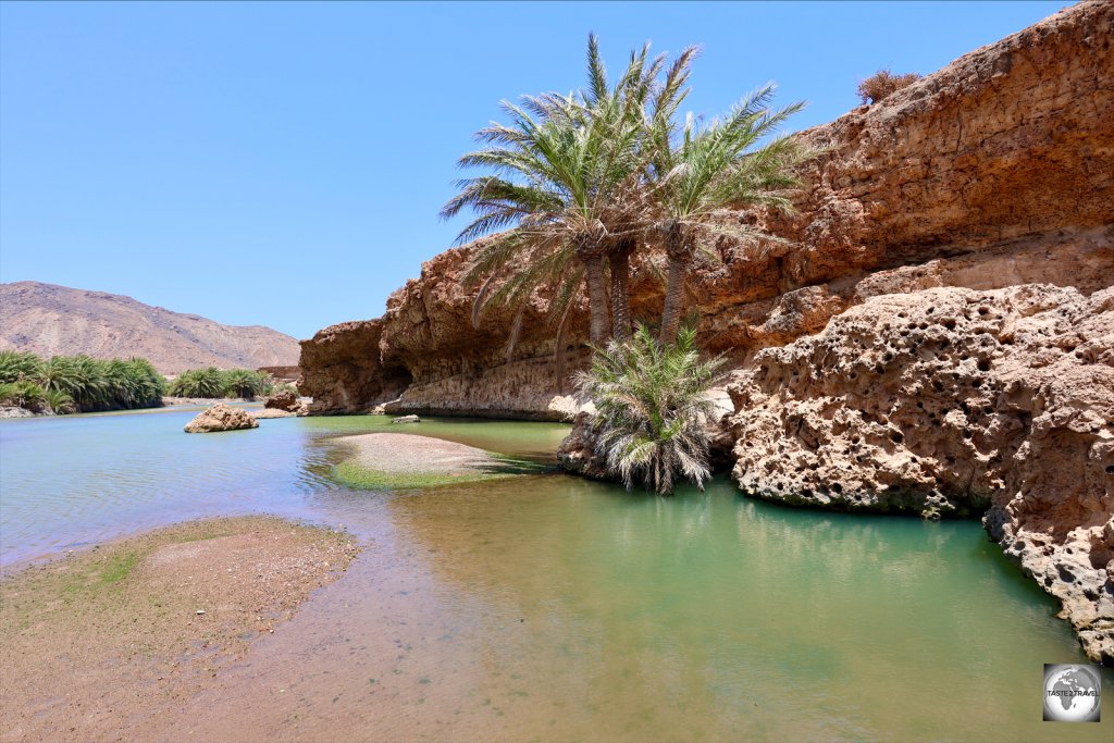 This splendid wadi served as our lunch and bath spot on one day of our camping trip.