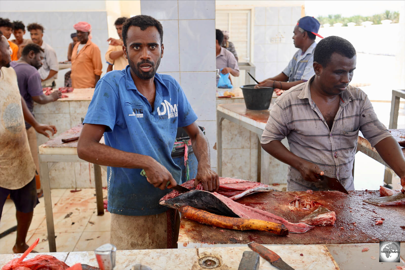 Fresh tuna, seen here at the Central fish market, is always on the menu on Socotra.