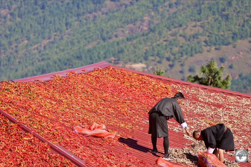 Chillies drying on a rooftop in Thimphu.