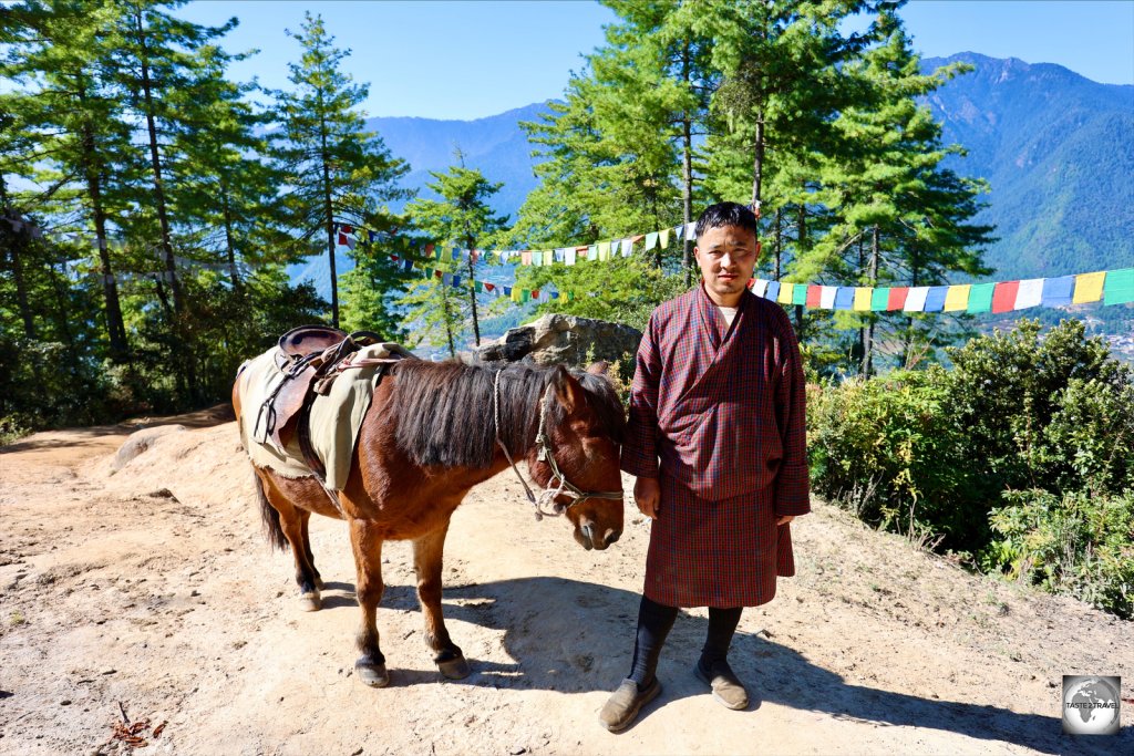 For the experience, I hired a pony to carry me up the first half of the Tiger's Nest Monastery hiking trail.