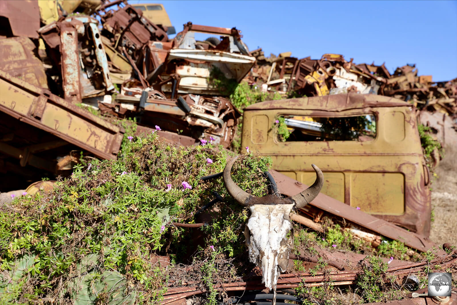 A haunting and eerie sight - the Tank Graveyard in Asmara.