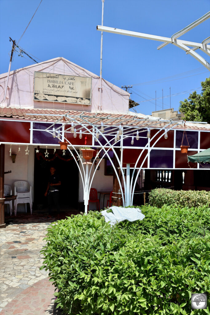 While in Keren, we spent time relaxing in the garden of this café, where we enjoyed sweet black tea.