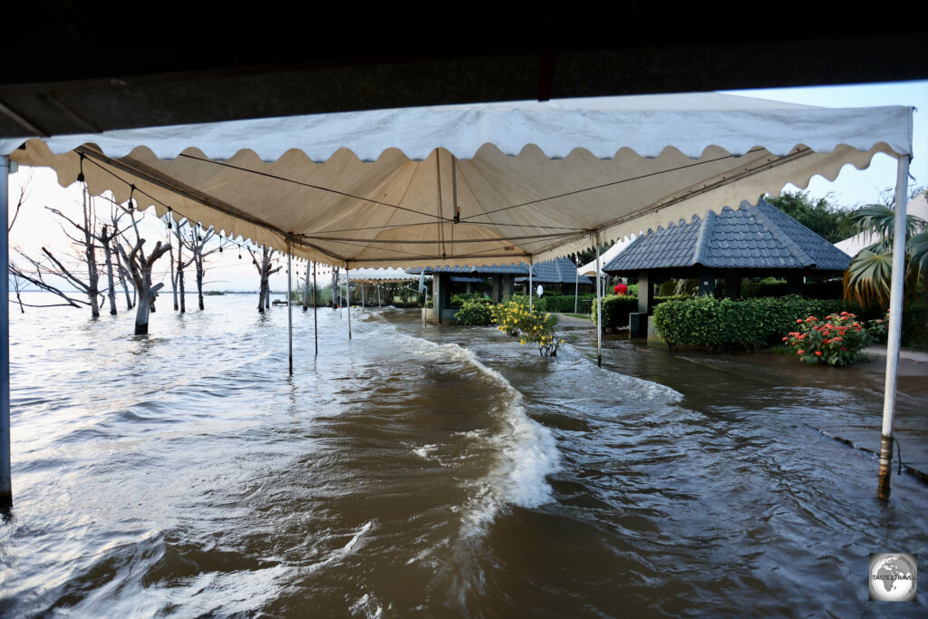 At the time of my visit, the lakeside restaurant at Hotel Safari Gate was slightly inundated by high water.