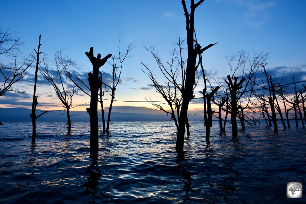 Lake Tanganyika is the world's longest fresh water lake.