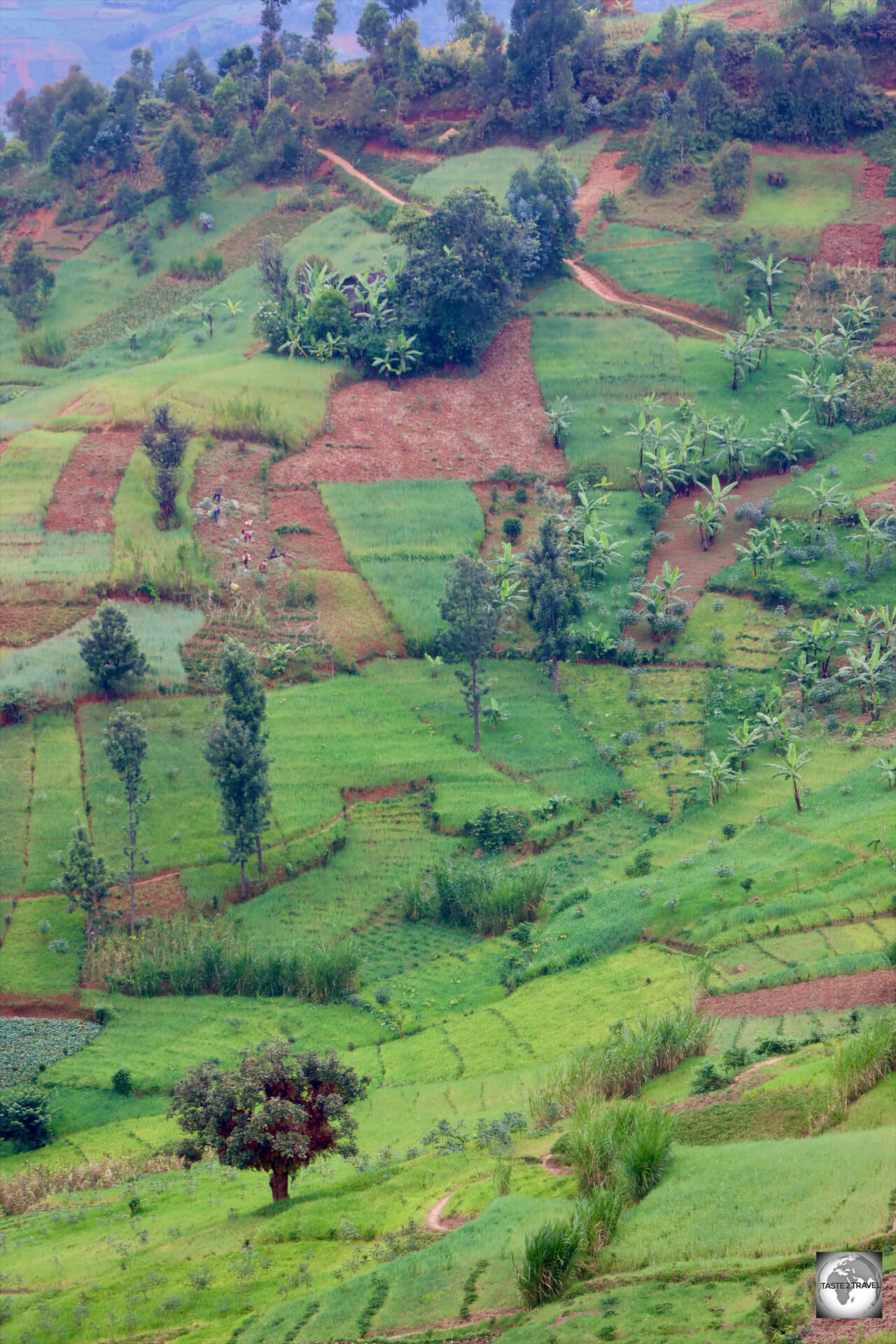 A typical view of the hilly interior of Burundi.
