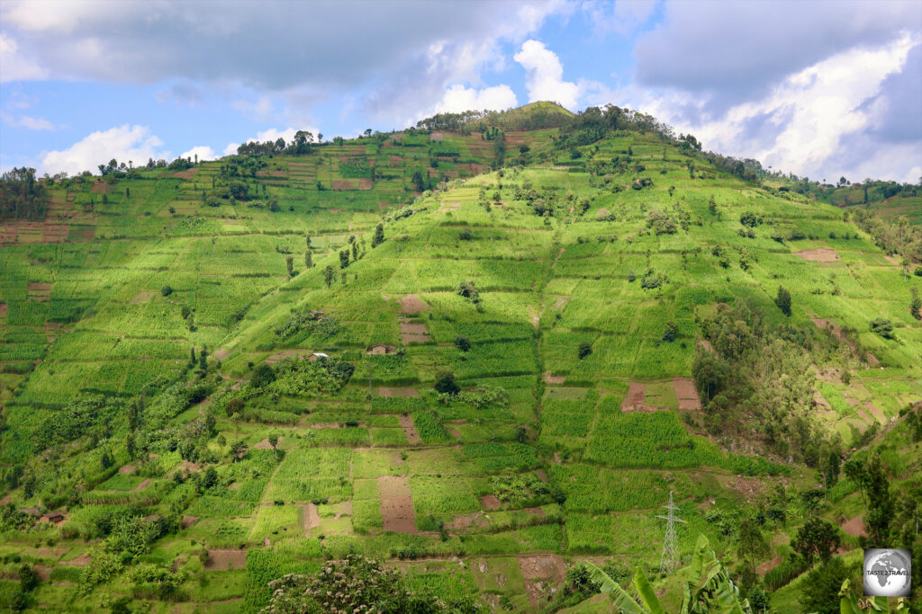 The lush hilly terrain of Rwanda is ideal for agriculture.