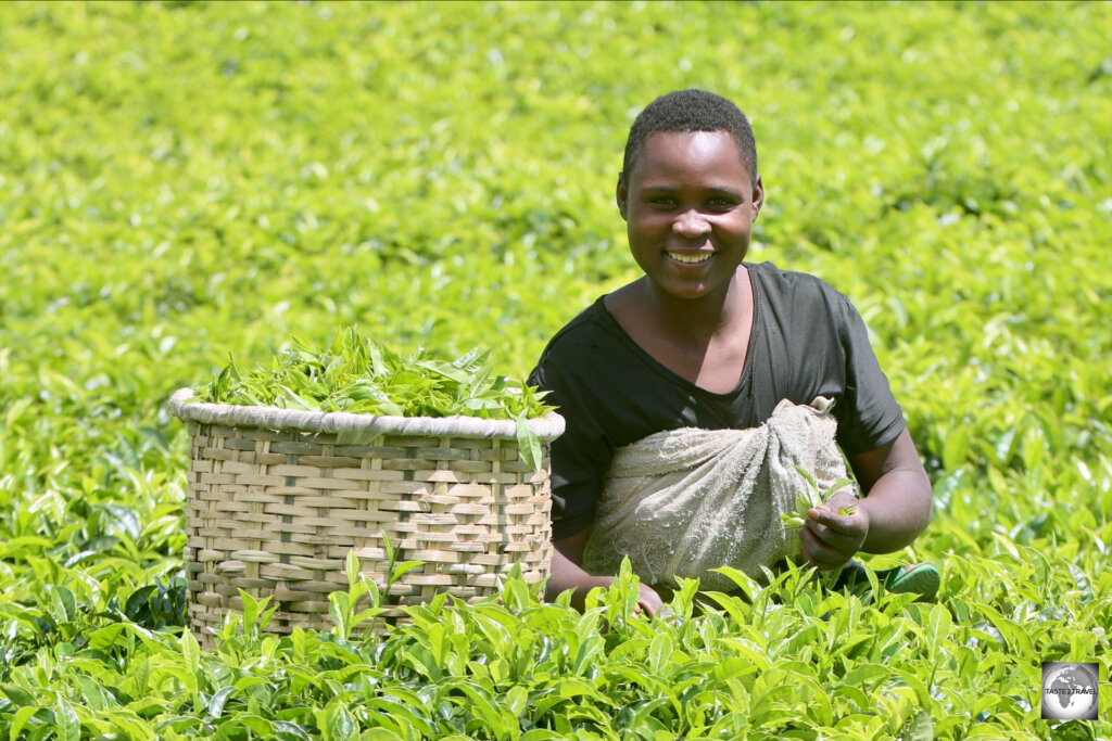 Everywhere I travelled in Rwanda, I was greeting with warm smiles.