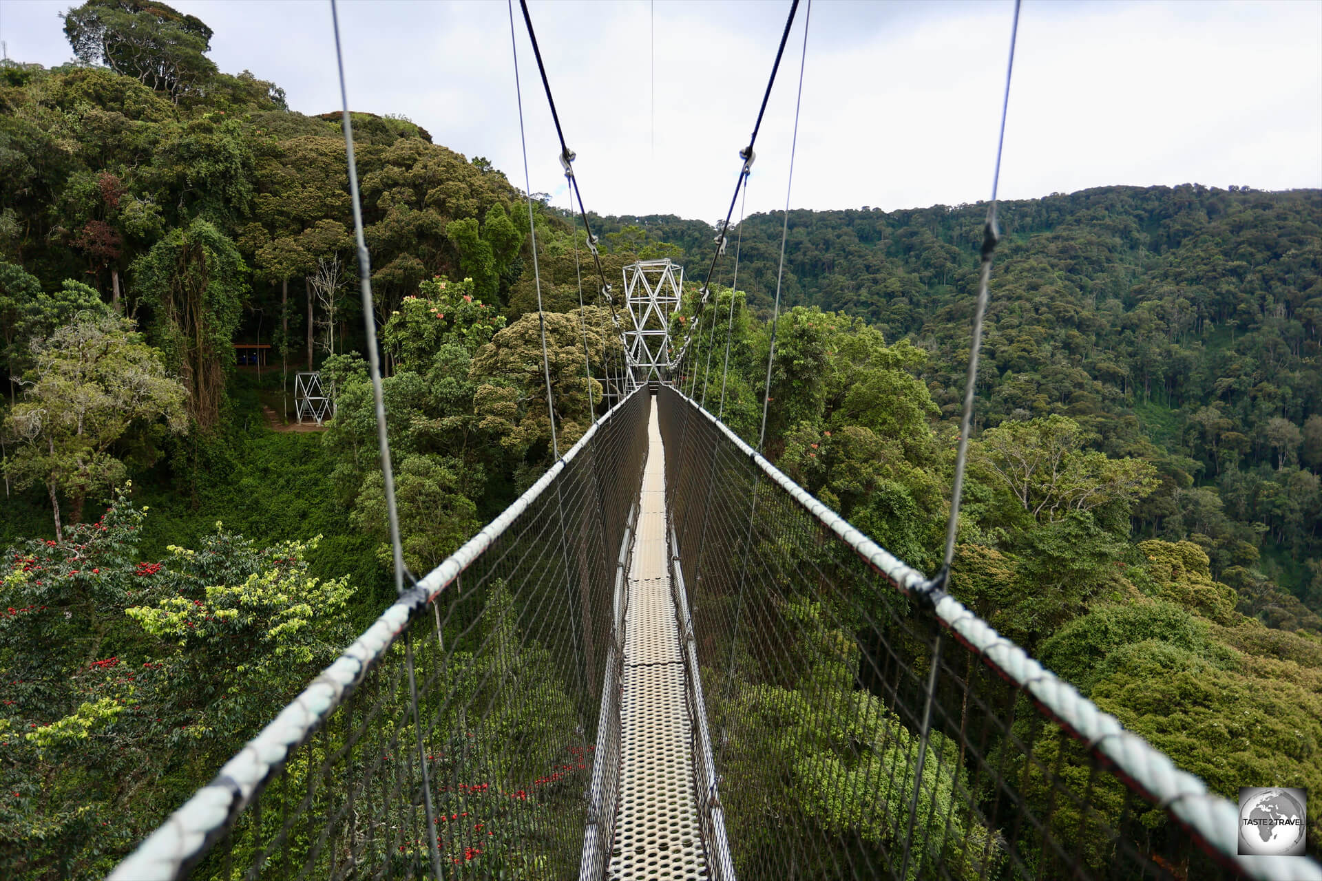 A panoramic view of the rainforest, from the 70-metre-high canopy walkway at Nyungwe National Park.