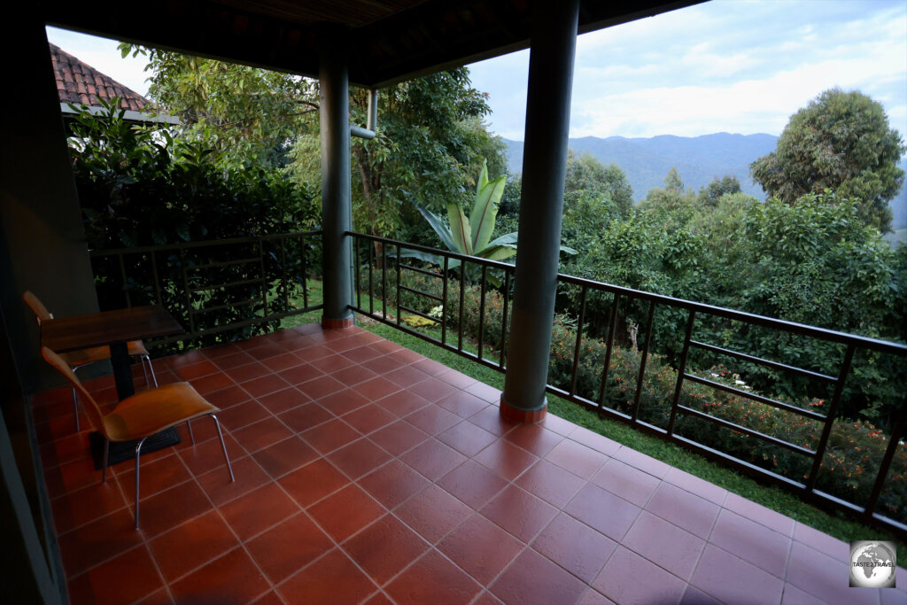 The view of the rainforest, from my balcony at Nyungwe Top View Hill Hotel.