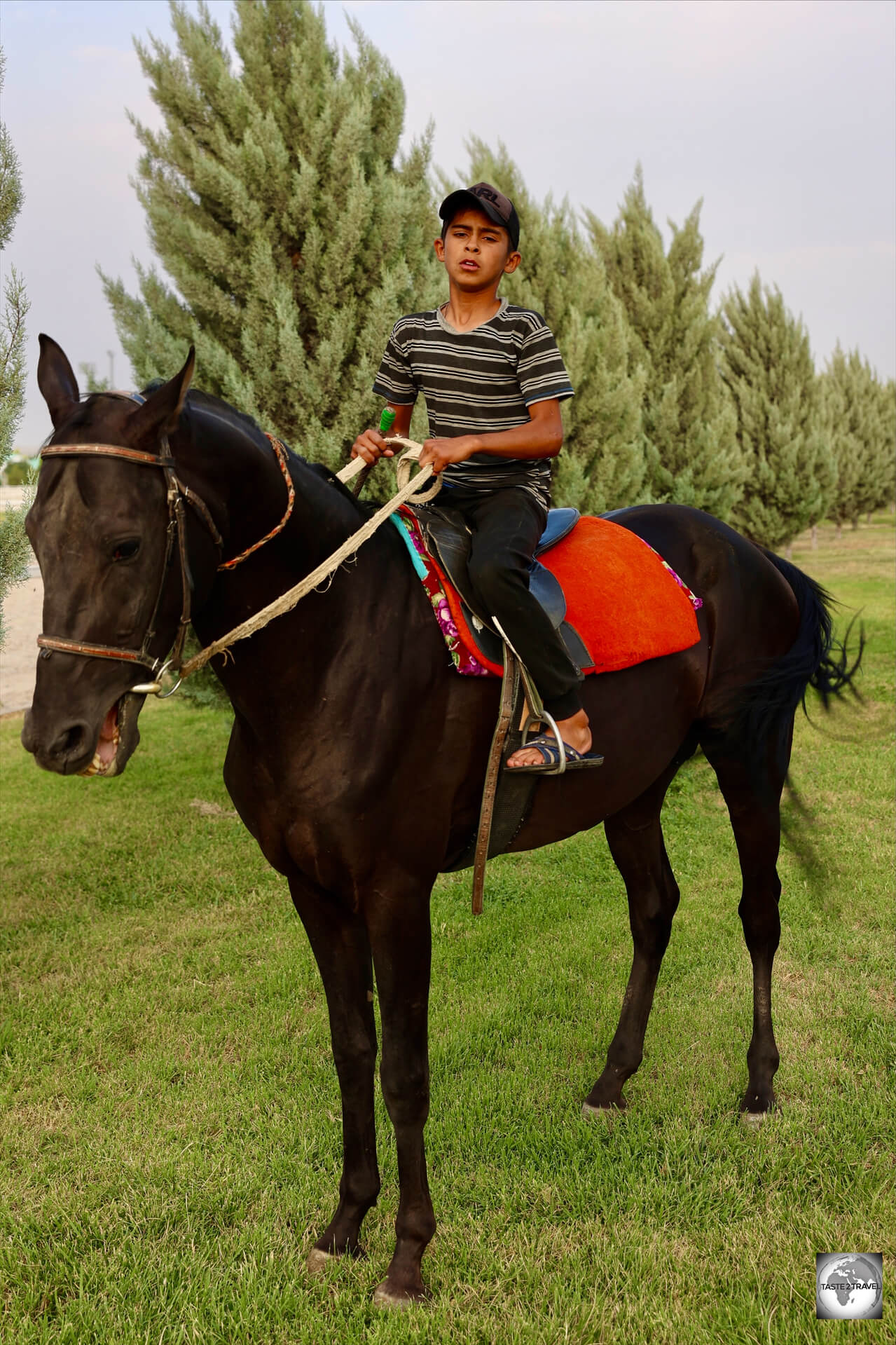 A young stable-hand, with one of the prize horses from the stable.